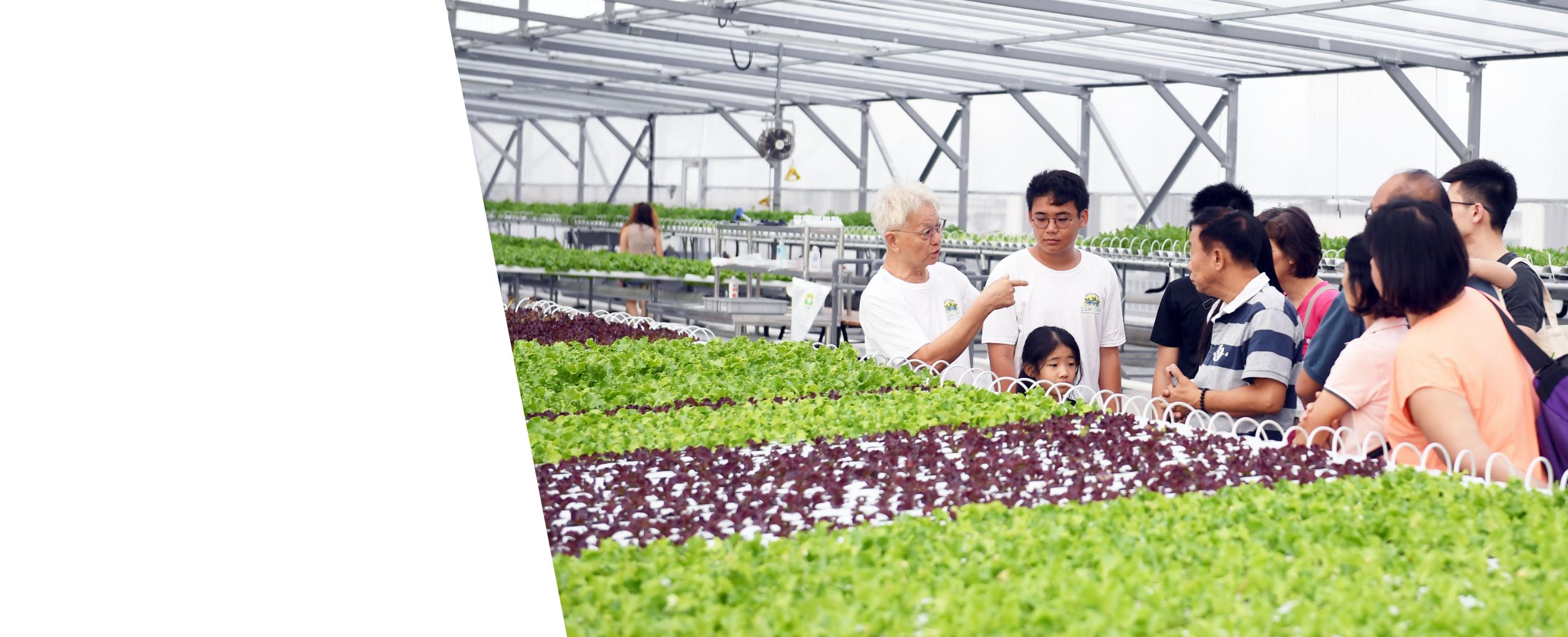 changemakers header banner